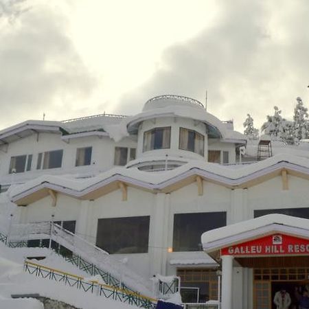 Galleu Hill Resort Shimla Bagian luar foto